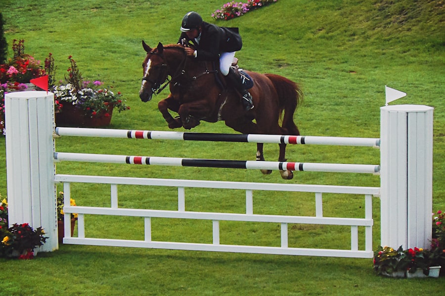 Horse and rider clearing a show jump in competition